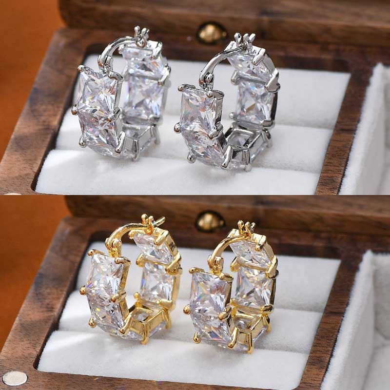 (🔥LAST DAY SALE-80% OFF) Diystar™ Lymphvitic Magnetisch Earrings