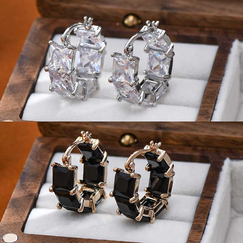 (🔥LAST DAY SALE-80% OFF) Diystar™ Lymphvitic Magnetisch Earrings