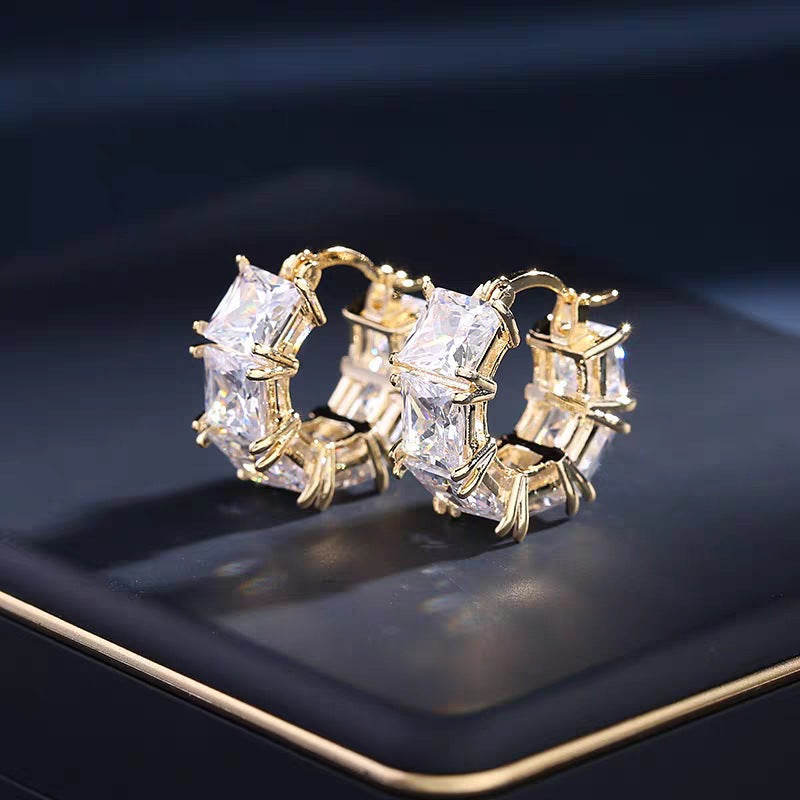 (🔥LAST DAY SALE-80% OFF) Diystar™ Lymphvitic Magnetisch Earrings