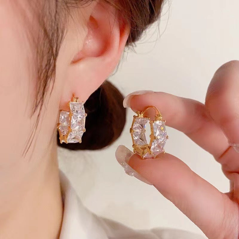 (🔥LAST DAY SALE-80% OFF) Diystar™ Lymphvitic Magnetisch Earrings