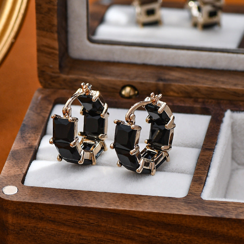 (🔥LAST DAY SALE-80% OFF) Diystar™ Lymphvitic Magnetisch Earrings