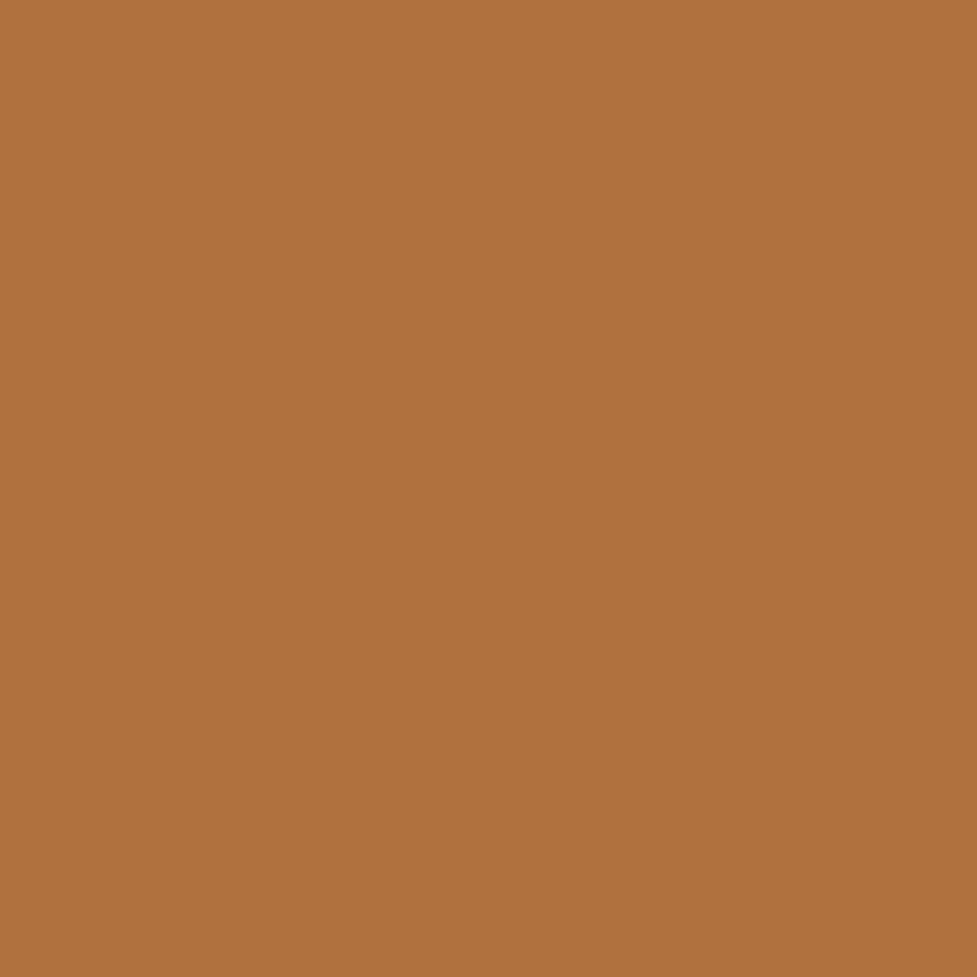 Newyuo®  4-in-1 Foundation with Brush